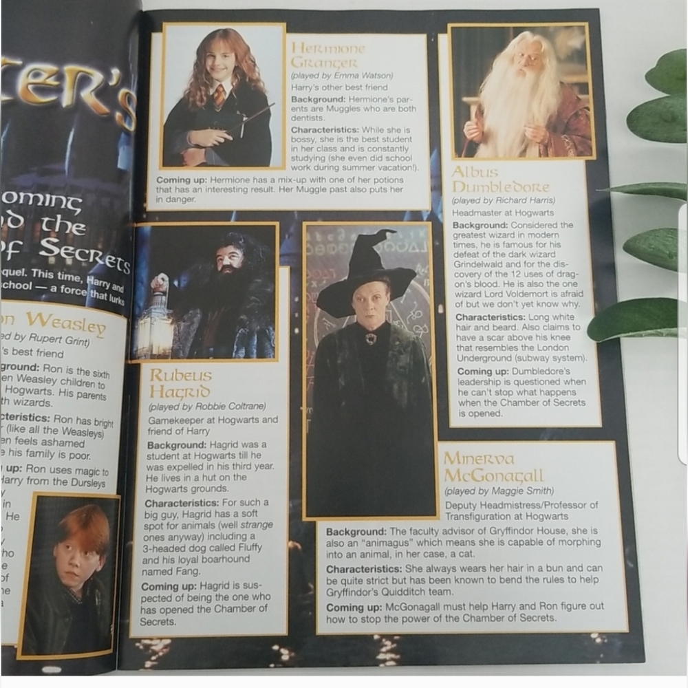 📚 Vintage Kids Tribute Magazine Harry Potter and the Chamber of Secrets 📚 Y2K - Picture 4 of 7